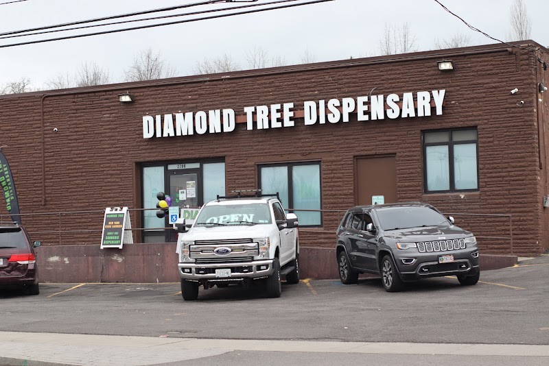 Video tour of Diamond Tree Dispensary retail environment