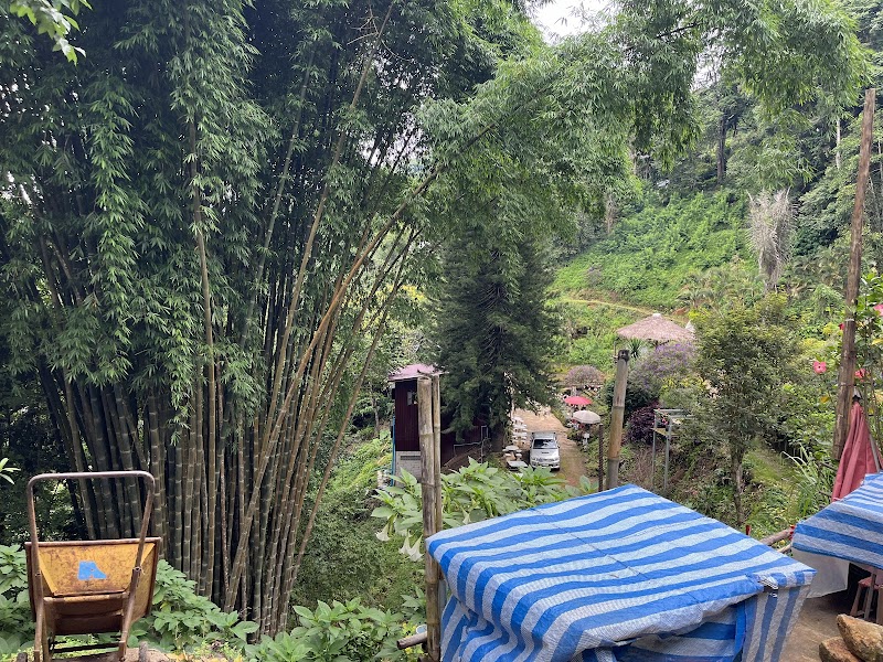 ที่ทำการละหมาดดอยปุย | Musolla Doi Pui photo 3