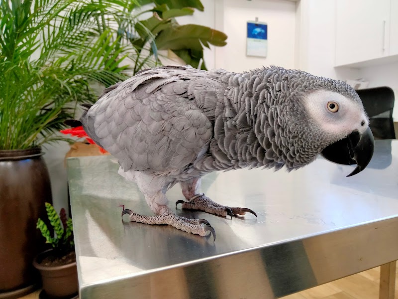 NAKURU Centro Veterinario