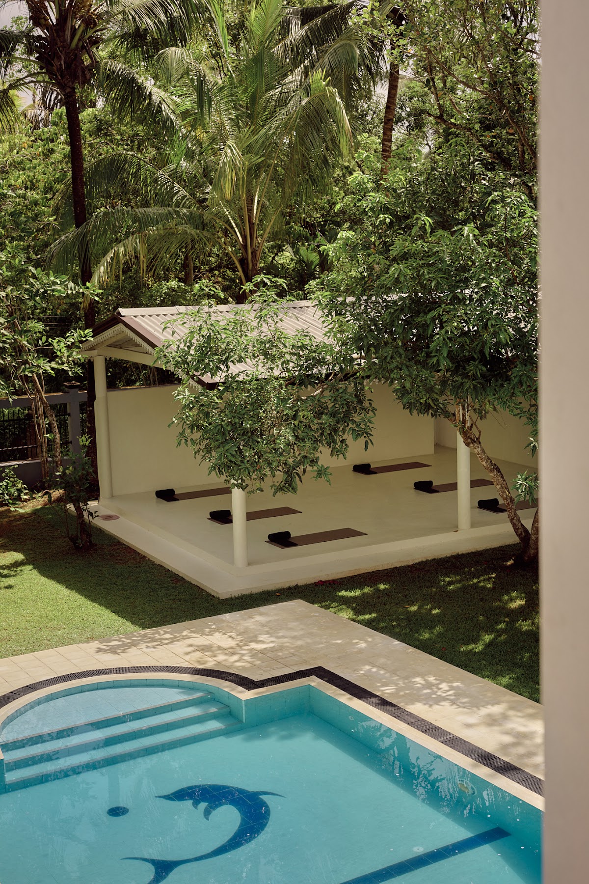 LuminaYoga - Academy, 200 hrs. YTT Yoga Alliance Member