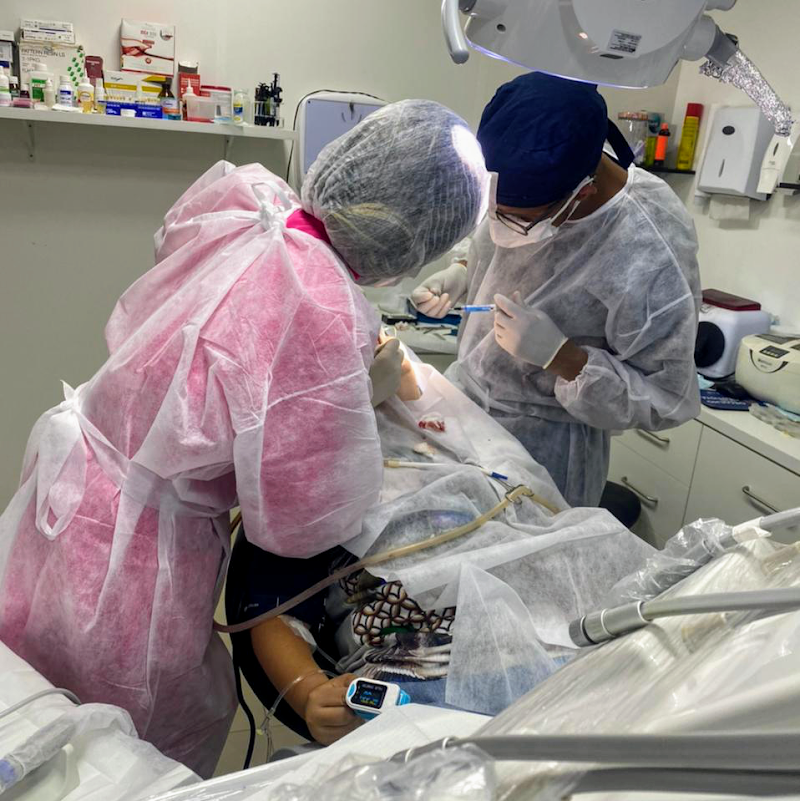 Dra Kamilla Vidal - Dentista