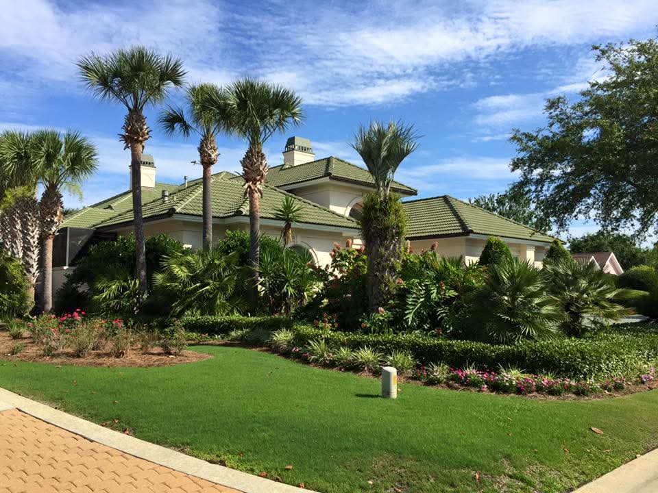 Precision Painting of NWF project 2