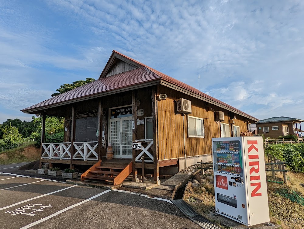 和島オートキャンプ場