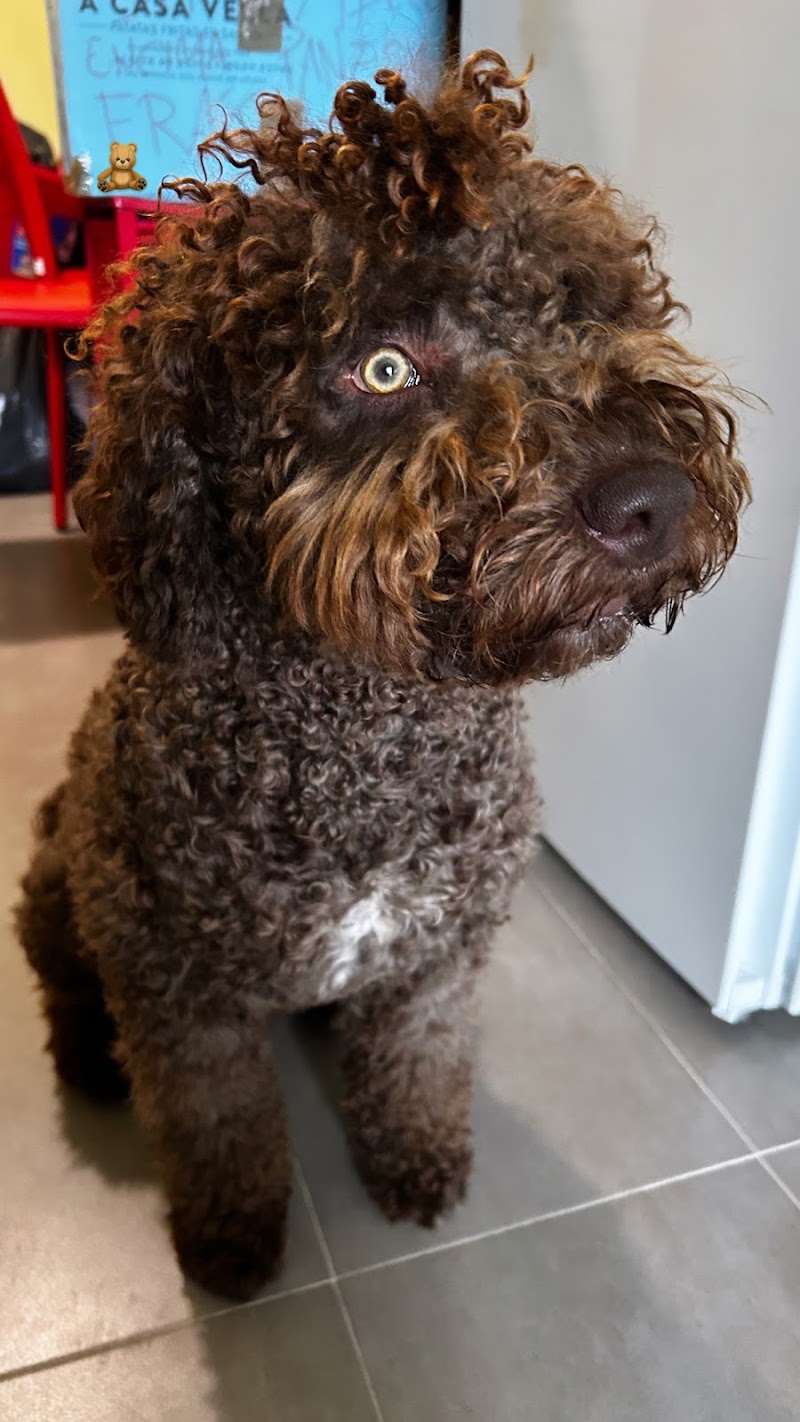 Savivet Clínica Veterinaria