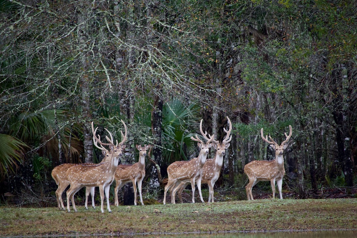 Woods to Water Preserve