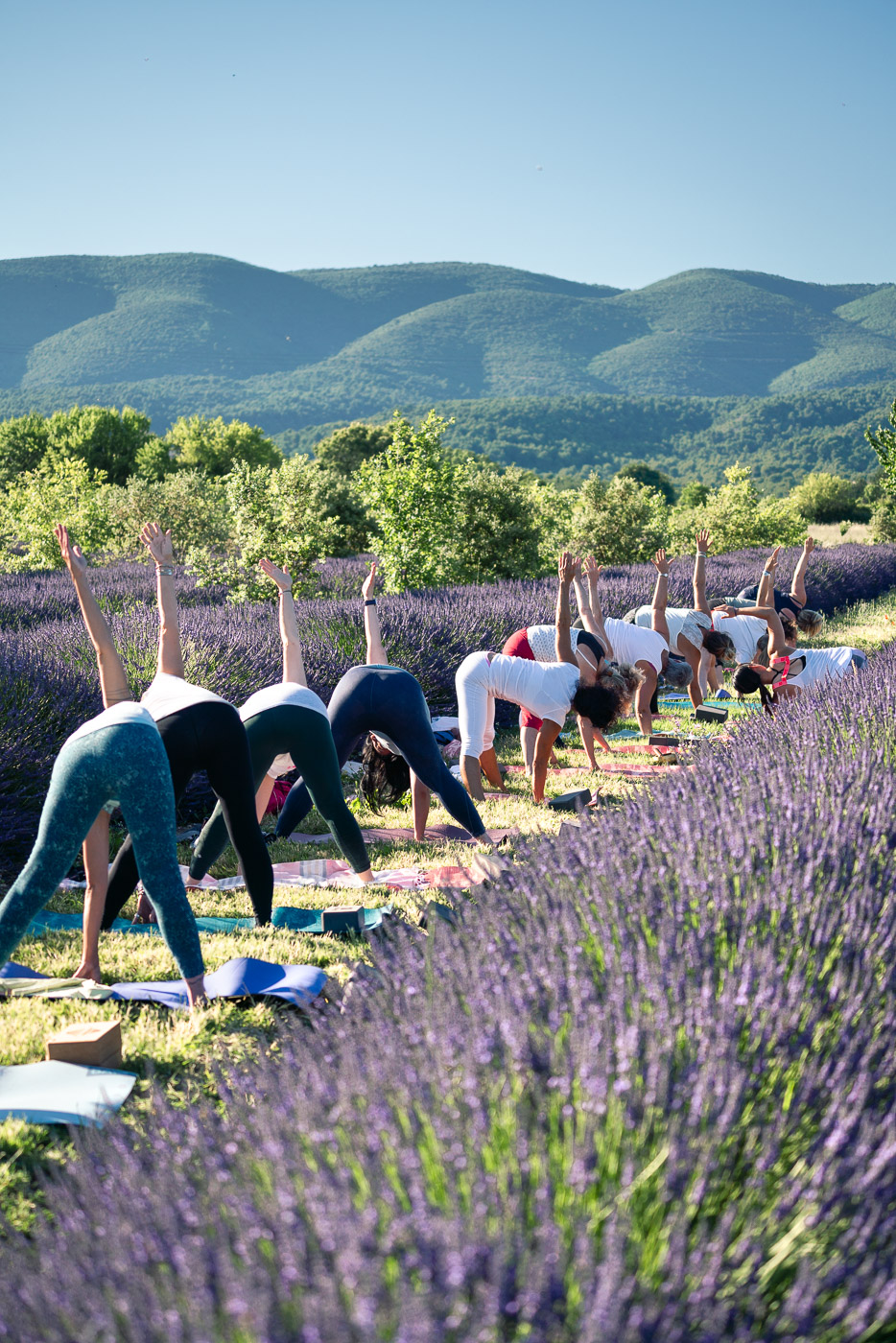 Luõ - Yoga, Pilates, Soins & Expériences Bien Être — 3