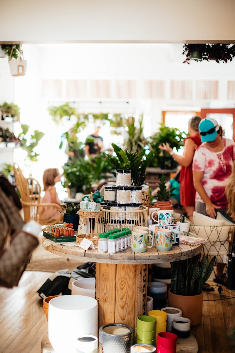 Jubilee Plants and Gathering photo 3