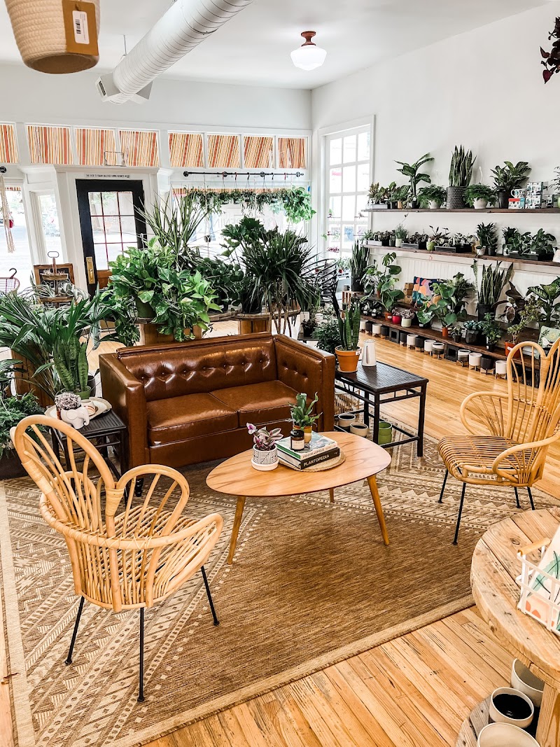 Jubilee Plants and Gathering photo 2