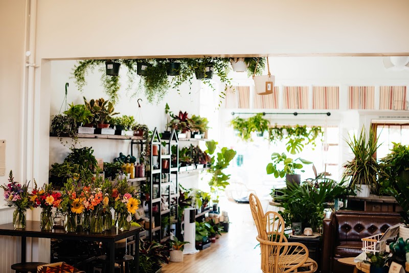 Jubilee Plants and Gathering photo 1