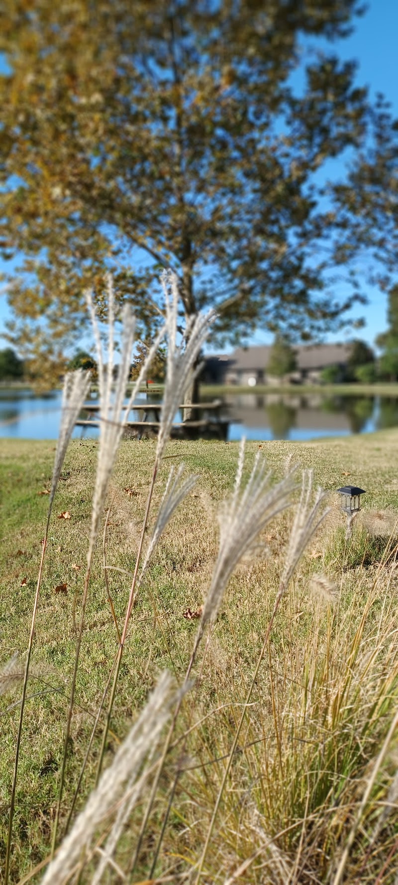 Stan Jones Mallard Lodge - Photo 6