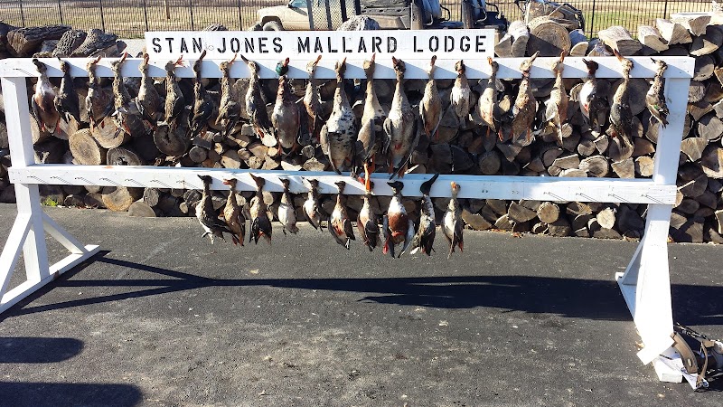 Stan Jones Mallard Lodge - Photo 4