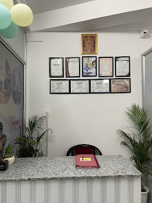 The wellness physiotherapy clinic