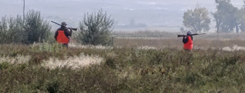 Gowdy's Wild Wings Bird Farm - Photo 3