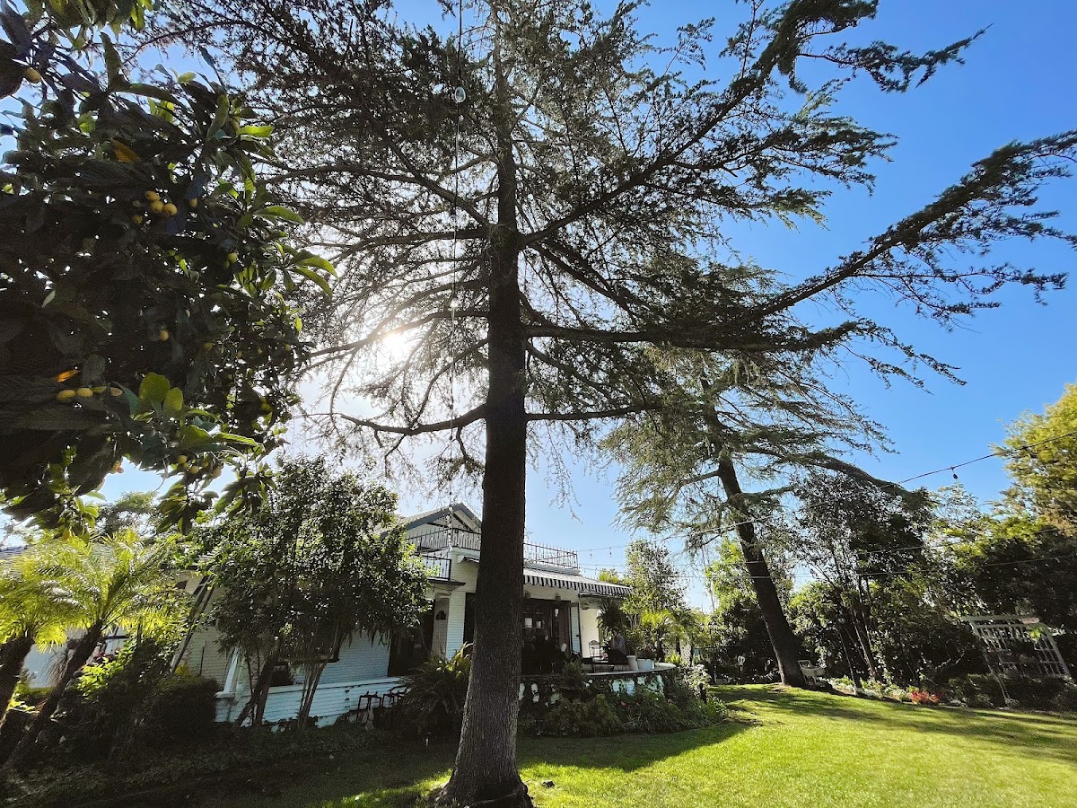 The Garden Weddings & Events: Google Places image 5