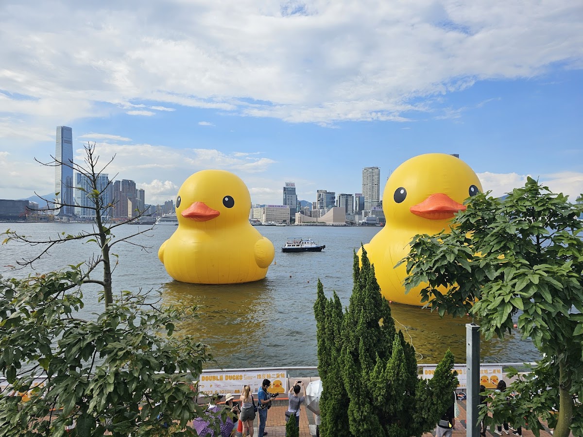 Central Harbourfront Event Space