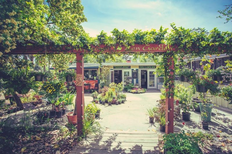 Lotus Cafe & Juice Bar At Zen Garden photo 3