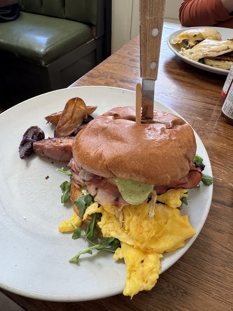 Scarlett Begonia photo 3