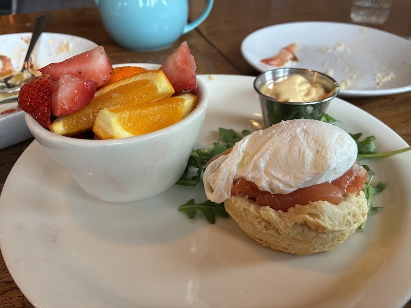 Scarlett Begonia photo 4