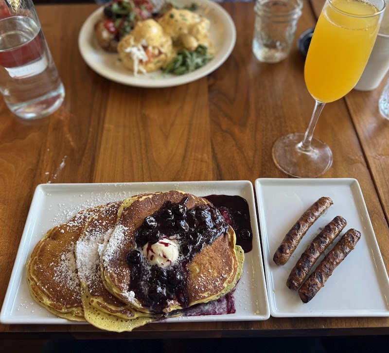 Scarlett Begonia photo 3