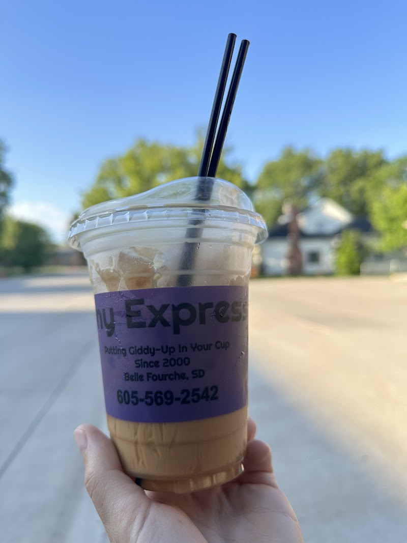 Pony Express-O photo 2