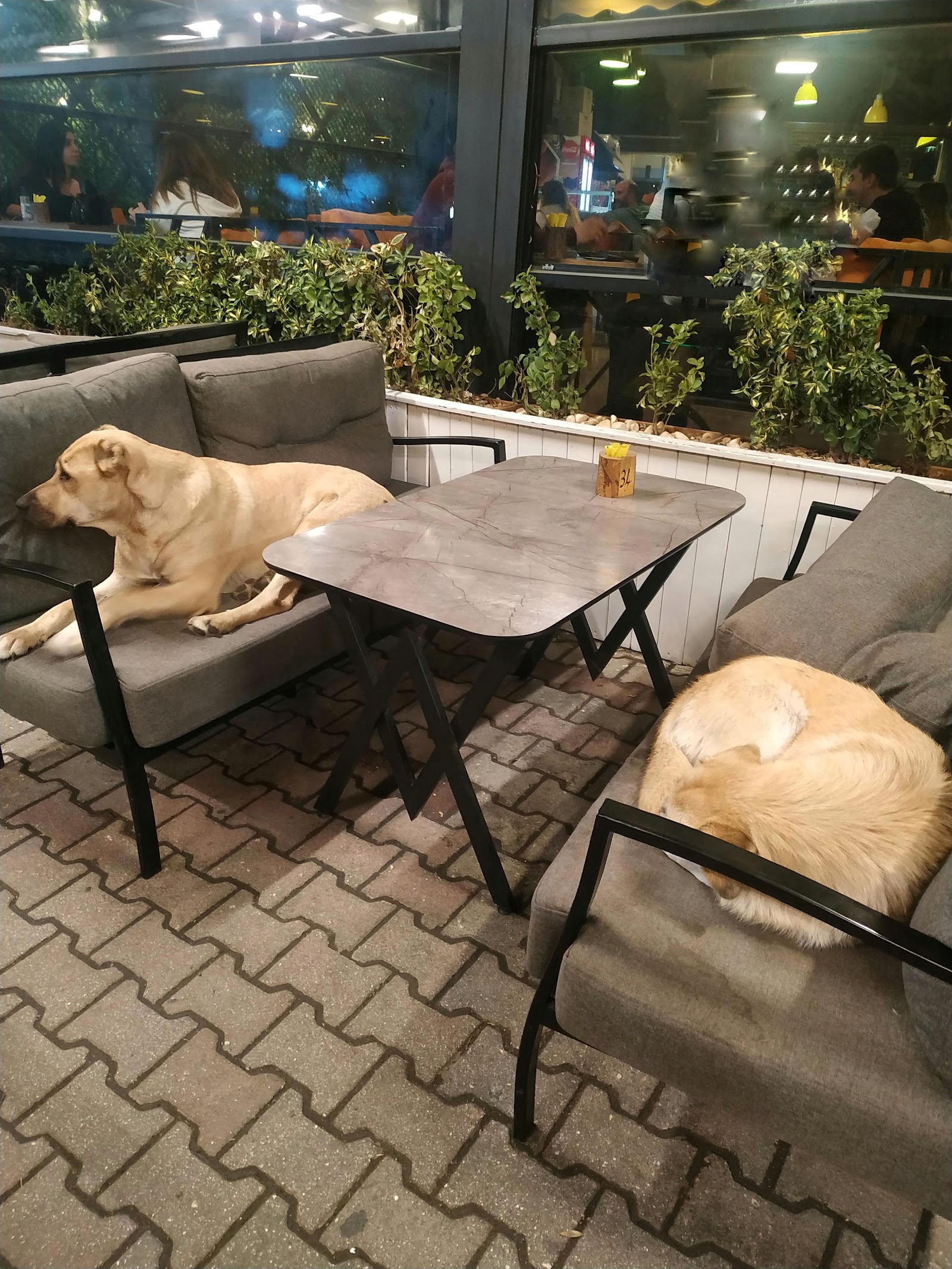Viola Cafe & Bakery mekanı