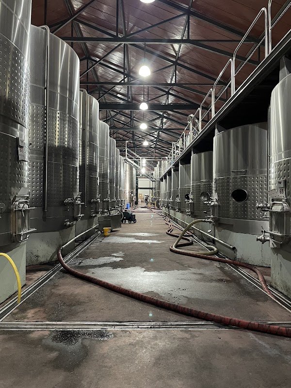 Bodegas Callia