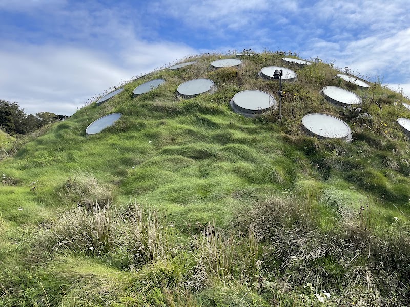 California Academy of Sciences