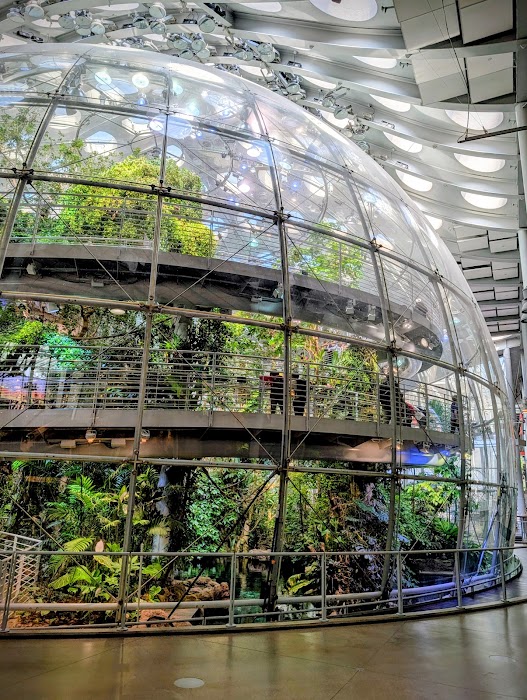 California Academy of Sciences fotoğraf 1