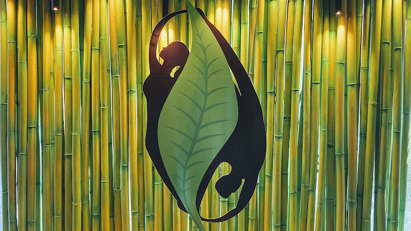 Fit to Live BGC Pilates & Rehab Studio