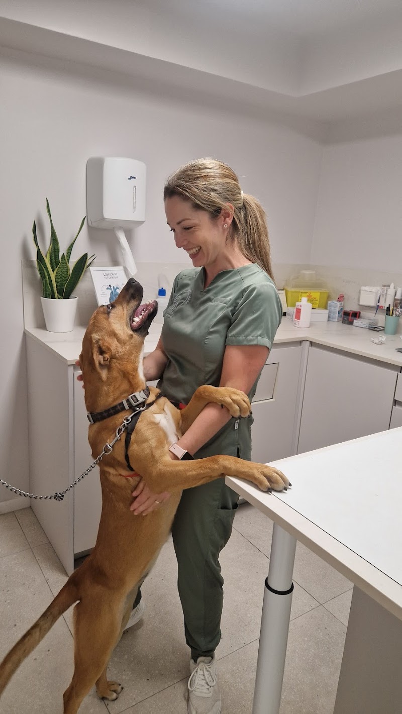 Clínica Veterinaria Sant Marc