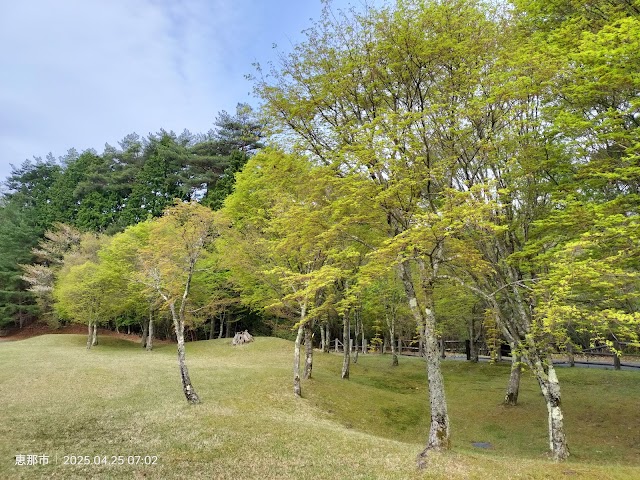 Adonis Golf Club - Photo 9