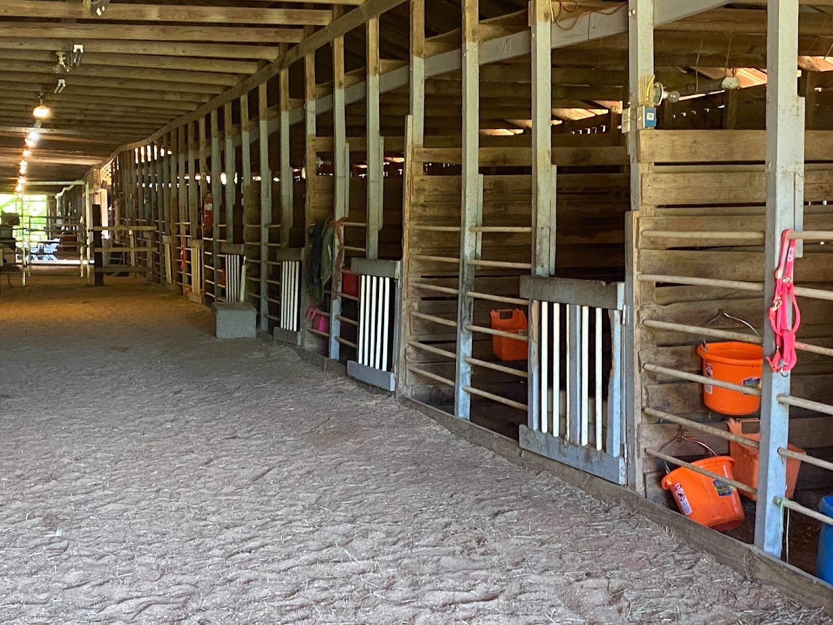 Marshall Ranch and Rescue