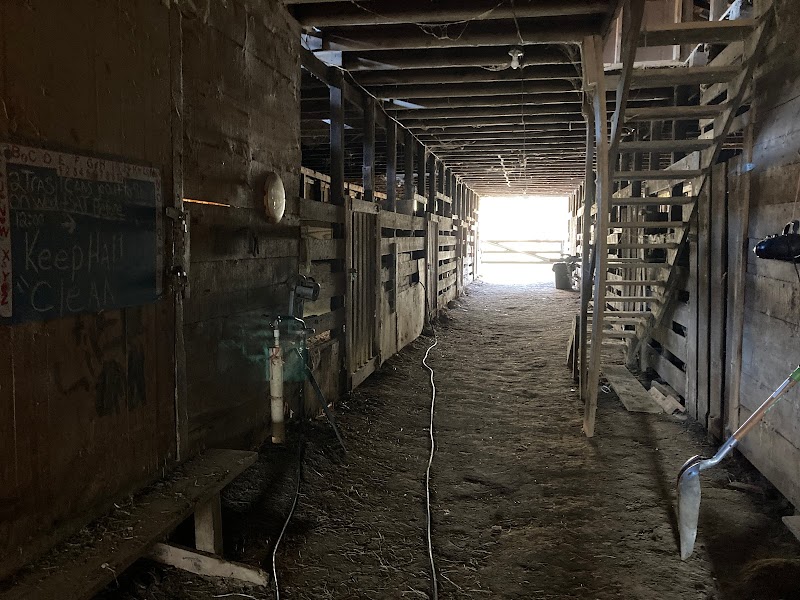Marshall Ranch and Rescue - Photo 6