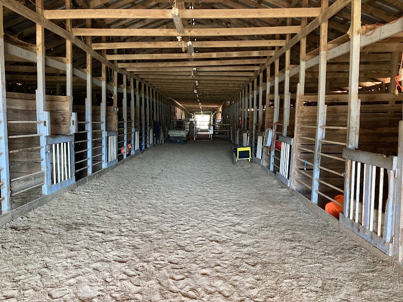 Marshall Ranch and Rescue - Photo 1