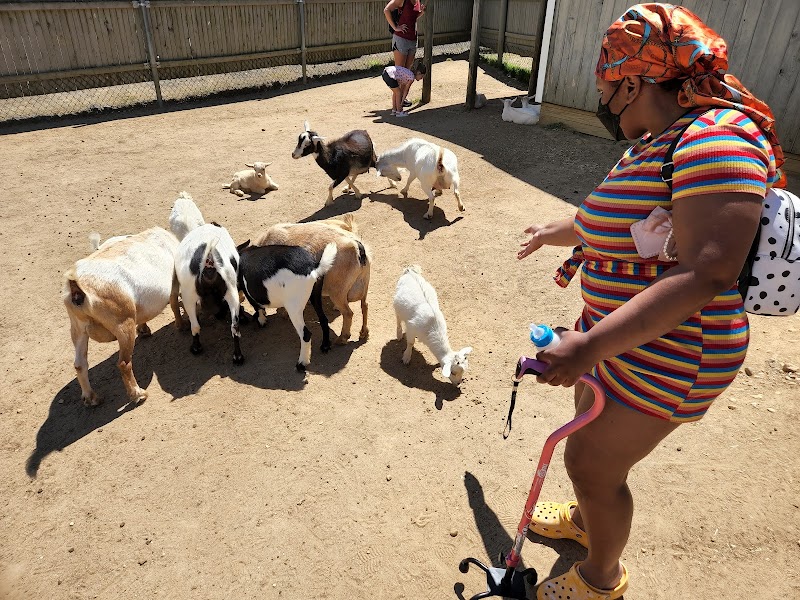 Animal Farm Petting Zoo - Photo 4