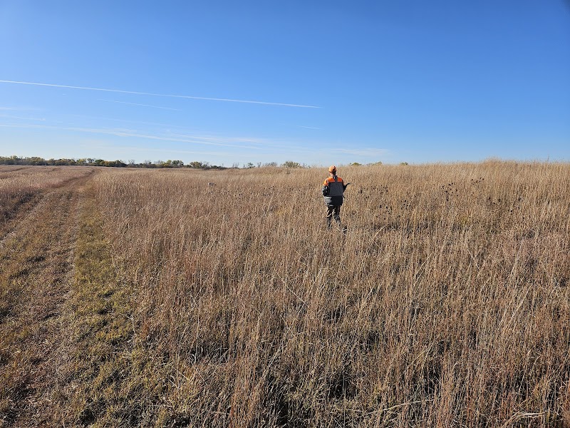 Bluestem Hunting Preserve - Photo 3