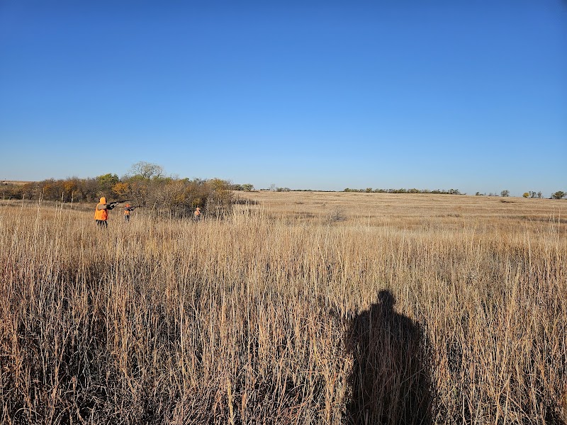 Bluestem Hunting Preserve - Photo 1