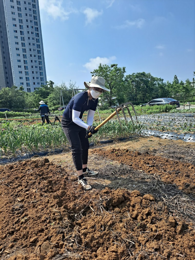 아침뜰근린공원 소나무숲 사진 3
