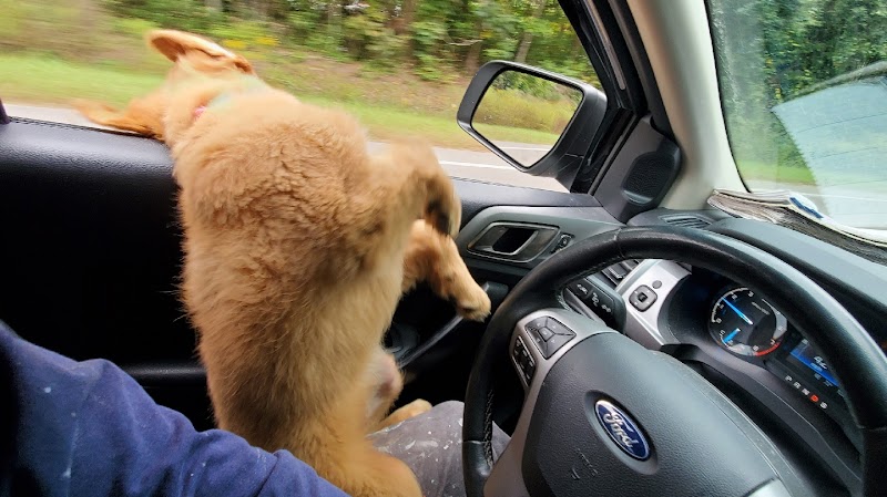 Handiest Handyman Services LLC