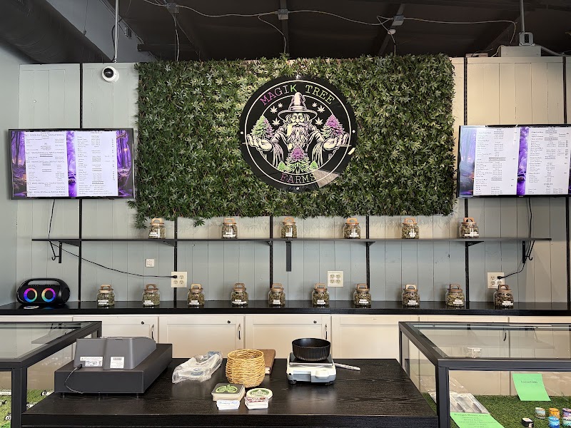 Video tour of Magik Tree Farms retail environment