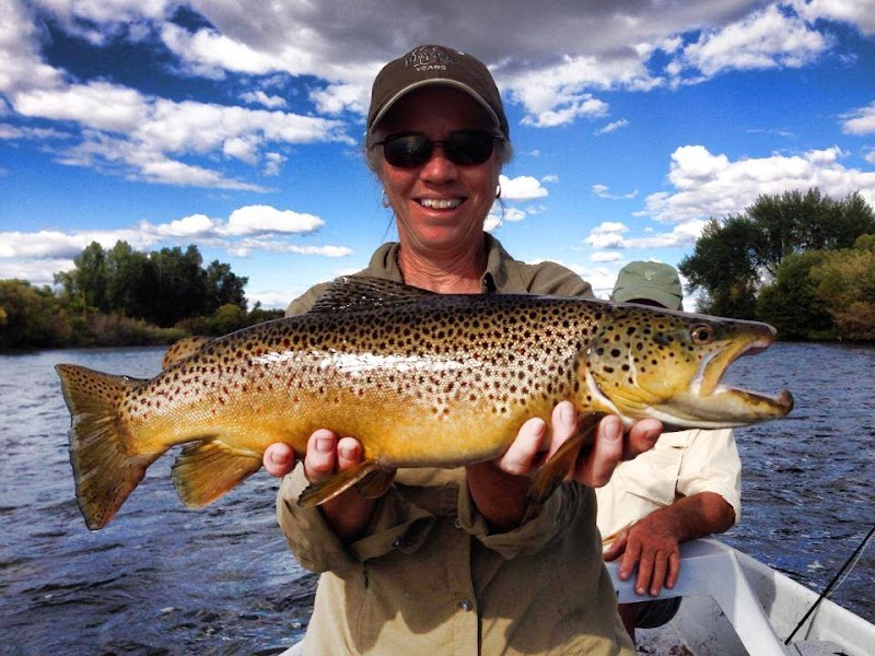 Three Rivers Ranch - Photo 6