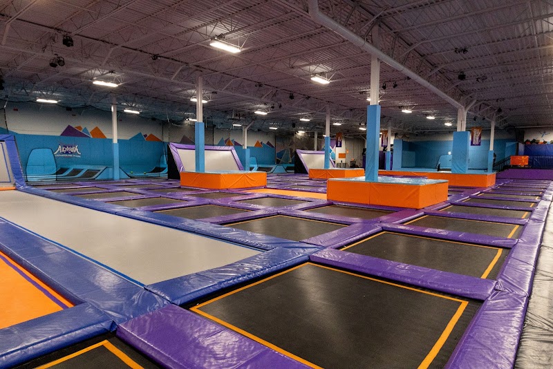 Altitude Trampoline Park Tampa — Amusement Center in Tampa