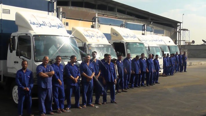 شركه الفرسان السريعه لنقل العفش والنظافه العامه