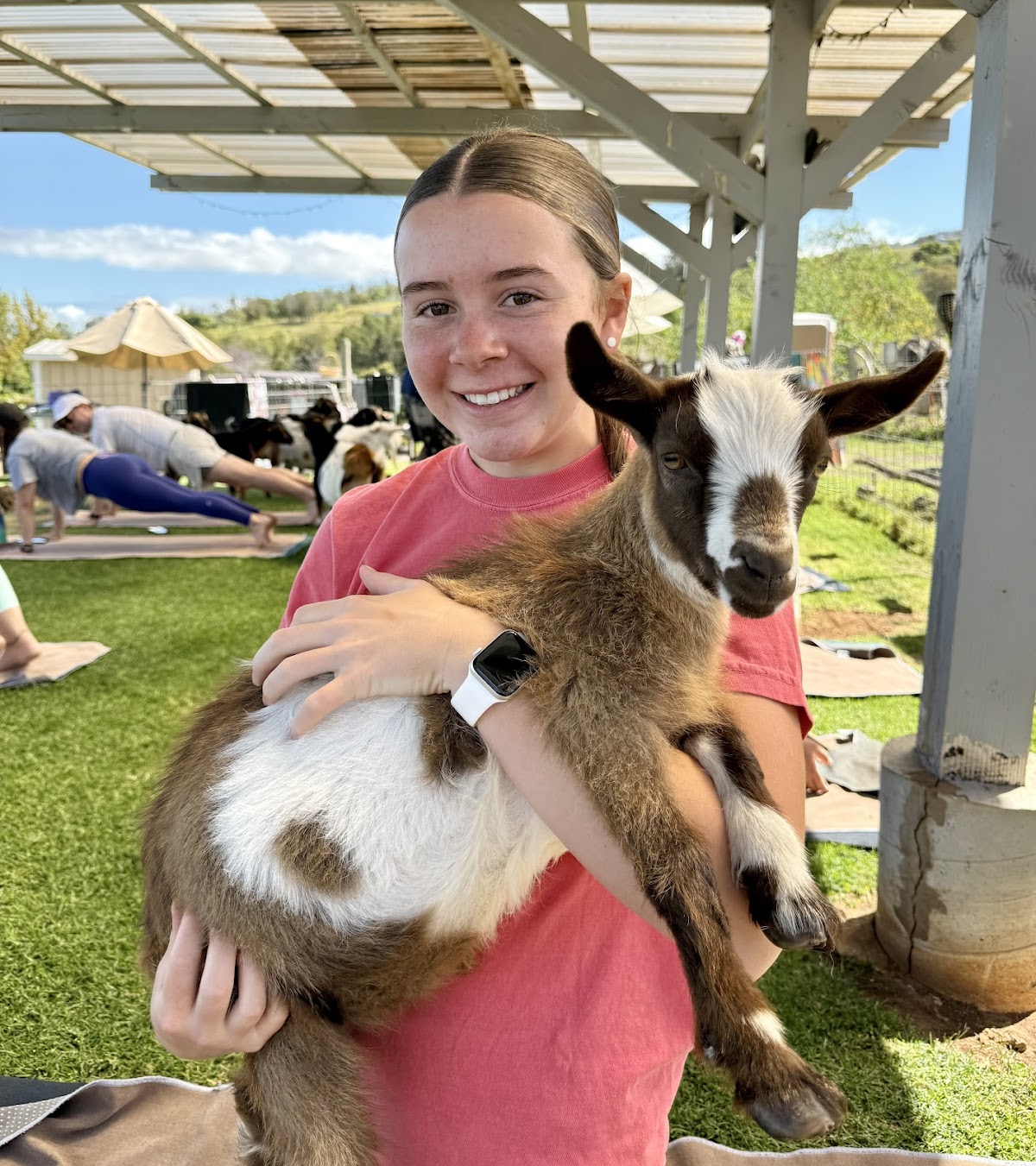 Maui Goat Yoga - Maui’s Pioneering Goat Yoga Experience - #1 Rated, Award Winning! — 4