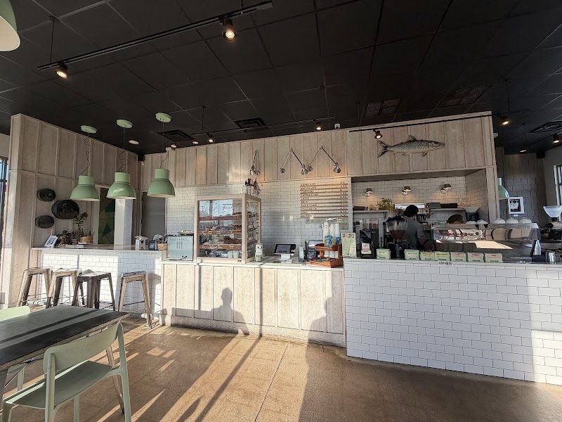 Bold Bean Coffee Roasters - Jax Beach photo 4