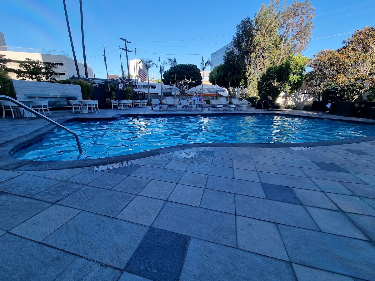 Beverly Hills Marriott, dog-friendly hotel, photo 2