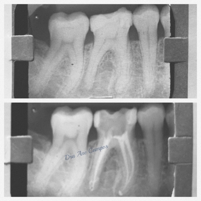 Clinica Ane Campos - foto 5