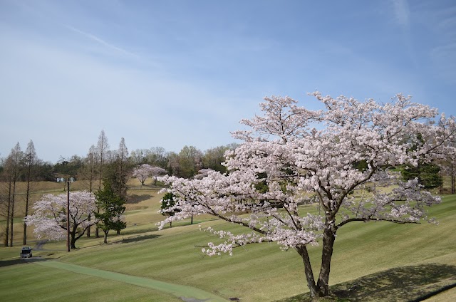 GMG Hachioji Golf Course - Photo 2
