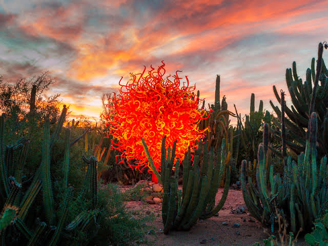 Desert Botanical Garden: Google Places image 3