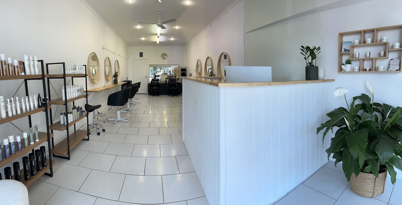 Coco at the Bay photo 1